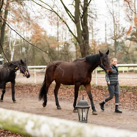 Goscinne Cheval Δωμάτια σε οικογενειακή κατοικία Krasków