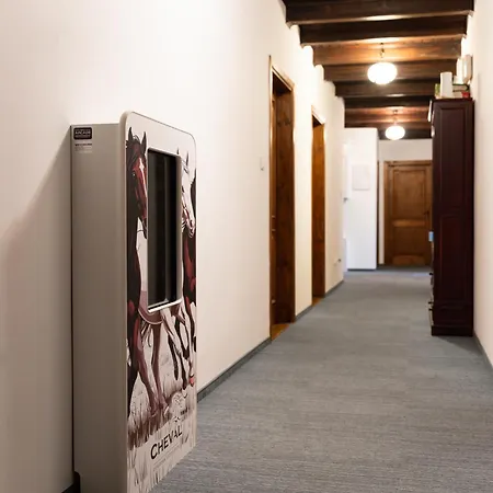 Goscinne Cheval * クラクフ